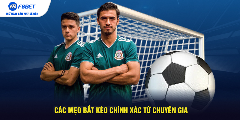Các mẹo bắt kèo chính xác từ chuyên gia