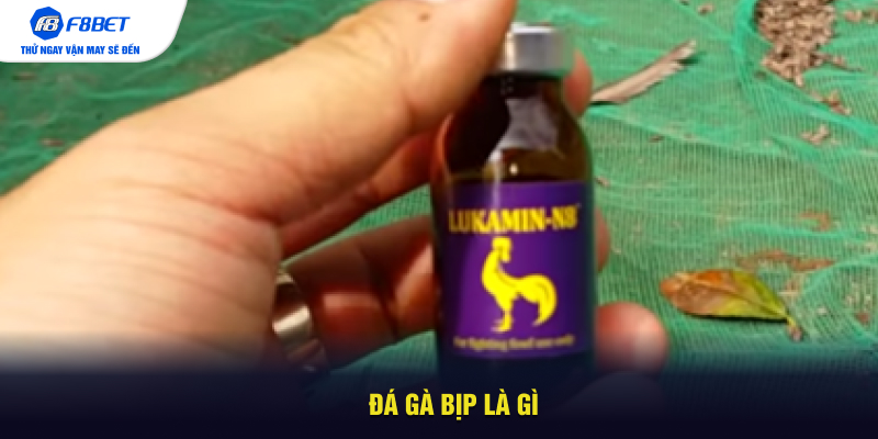 Đá gà bịp là gì?