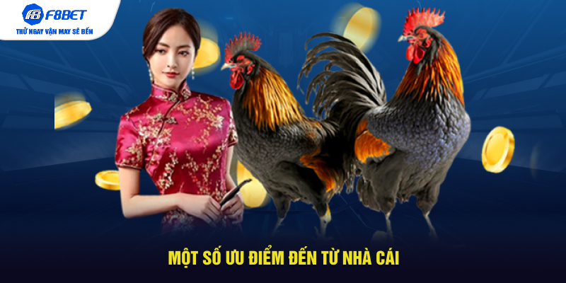 Một số ưu điểm đến từ nhà cái