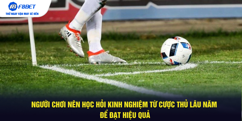 Người chơi nên học hỏi kinh nghiệm từ người chơi lâu năm để đạt hiệu quả